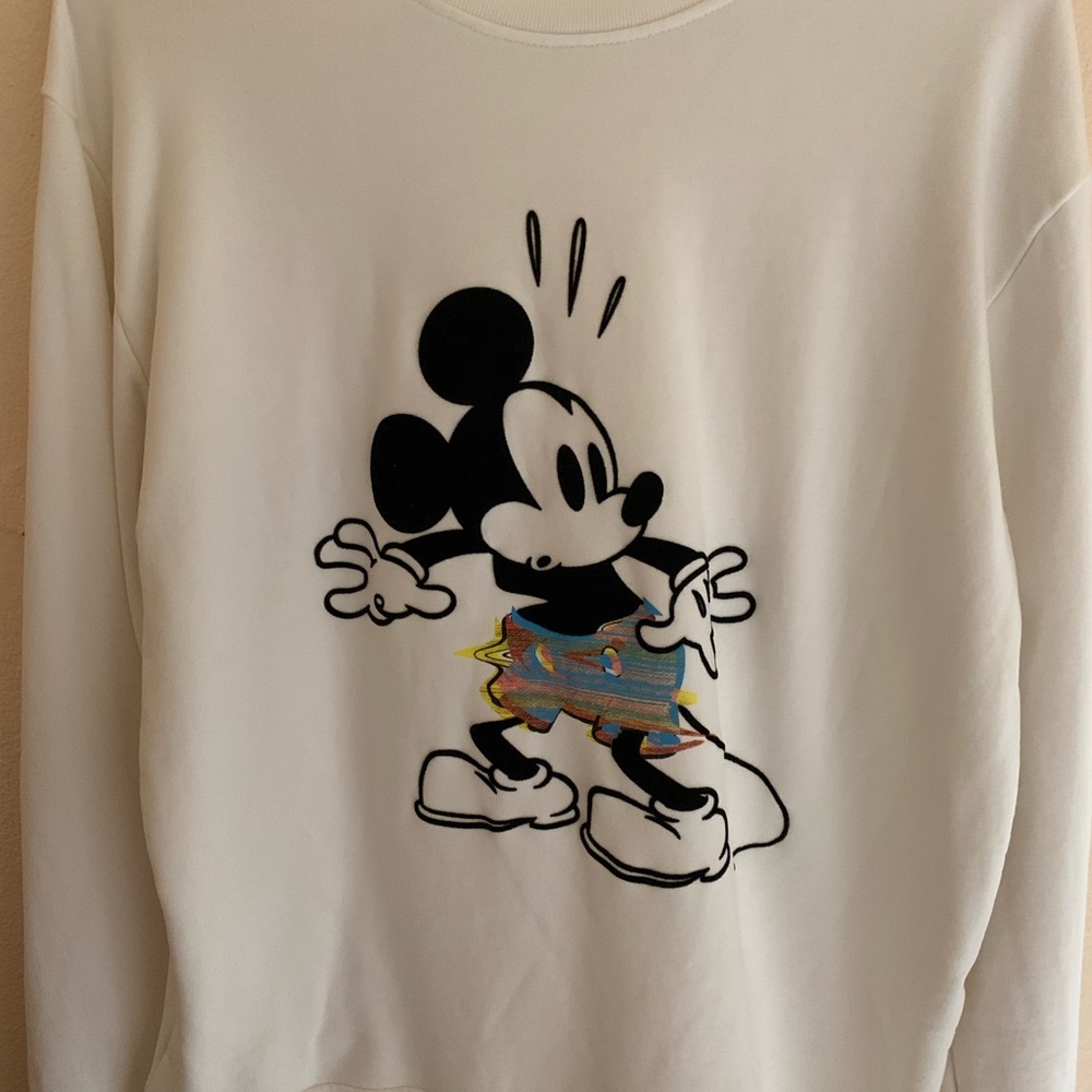 Zara x Disney limited rare sweatshirt